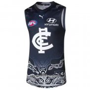 Camiseta Carlton Blues AFL 2024 Indigena